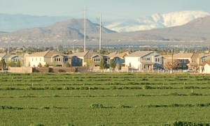 This farm will affect the yards soon to replace it long after it is gone (Photo: Central Arizona-Phoenix LTER).
