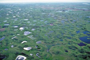 Prairie pothole wetlands in central North America. Credit: Ducks Unlimited. Taken from the National Science Foundation website.