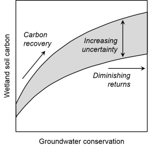 When groundwater is conserved, soil carbon in wetlands recovers up to a point. At severe cutback in groundwater use, returns to wetlands are marginal and uncertain.